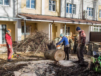 Удаление аварийных деревьев на участке