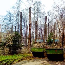 Обрезка тополей