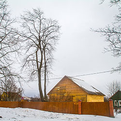Обрезка липы