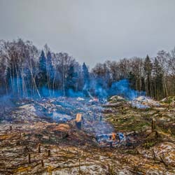 Сплошная валка леса в Чашниково (7га), выкорчёвывание пней экскаватором, сжигание порубочных остатков