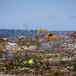 Сплошная валка леса в Чашниково (7га), выкорчёвывание пней экскаватором, сжигание порубочных остатков