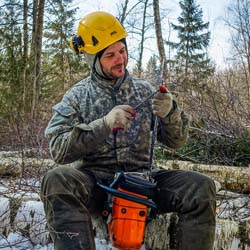 Сплошная валка леса в Чашниково (7га), выкорчёвывание пней экскаватором, сжигание порубочных остатков