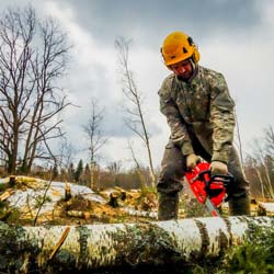 Сплошная валка леса в Чашниково (7га), выкорчёвывание пней экскаватором, сжигание порубочных остатков
